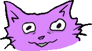 Cat Funny Cats Sticker