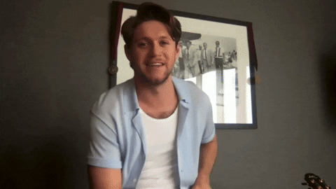 Niall Horan Nova GIF by Smallzy