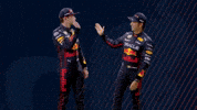 Red Bull Sport GIF by Oracle Red Bull Racing