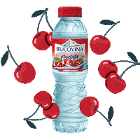 Bucovinafructata Sticker by Apa Bucovina