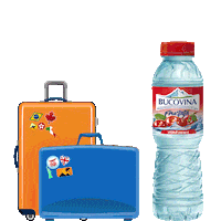 Summer Travel Sticker by Apa Bucovina
