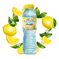 apabucovina bucovina bucovinafructata apabucovina lemonbucovina Sticker
