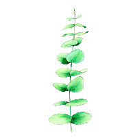 Plant Minimalism Sticker