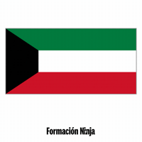 Flag Bandera GIF by Formación Ninja