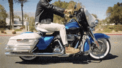 Ride GIF by Harley-Davidson