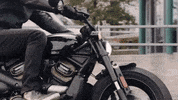 Ride GIF by Harley-Davidson