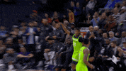 GIF by NBA