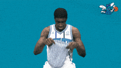 happy fresh prince GIF by Charlotte Hornets