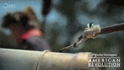 4Th Of July Boom GIF by PBS
