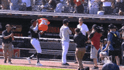 regular season win GIF by MLB