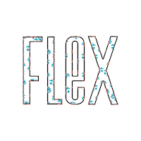 Flexcy  Sticker