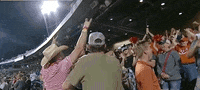 Baseball College GIF by NCAA Championships