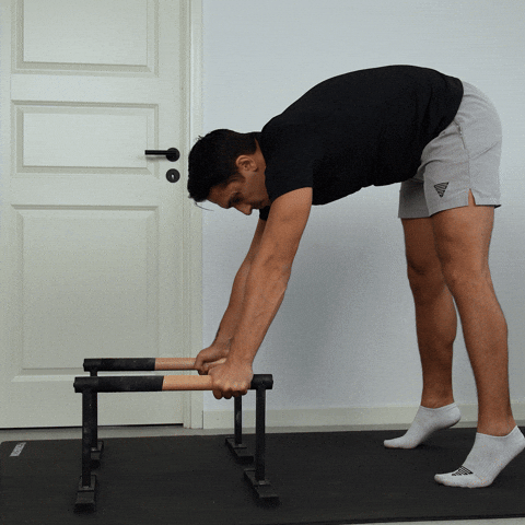 Fitness Calisthenics GIF