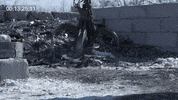 GIF by Super Simple