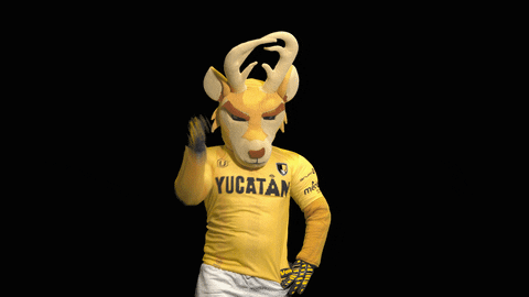 GIF by Venados FC