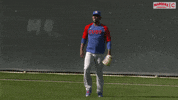 Chicago Cubs GIF by Marquee Sports Network