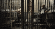 jail GIF