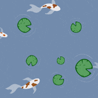 Koi Fish Peace GIF