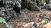 Art Video GIF by jorgemariozuleta