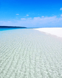 Traveling Summer Vacation GIF by Krystle Lina