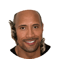 the rock STICKER by imoji