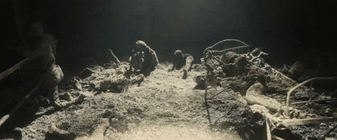 ant6310 giphyupload GIF