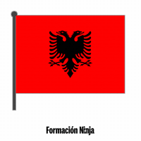 Flag Bandera GIF by Formación Ninja