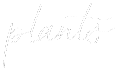 Plant Sticker