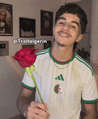 Algeria Dz GIF