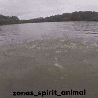 Get Away From Me GIF