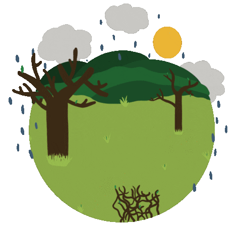 Summer Winter Sticker