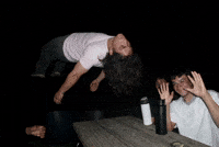 Fly Flying GIF