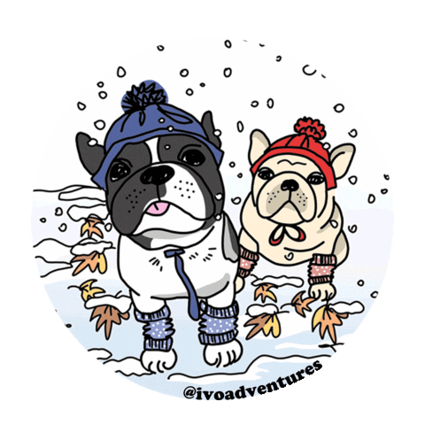 fun friends Sticker by Ivo Adventures