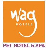 Dog Sticker by Wag Hotels