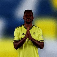 Major League Soccer Football GIF by Nashville SC