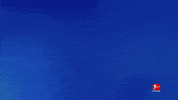 Tsg Hoffenheim Football GIF by Bundesliga