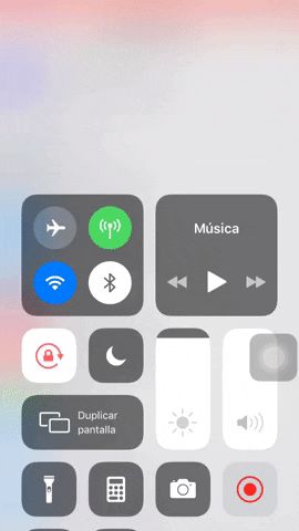 lauracamila51e7 giphyupload GIF