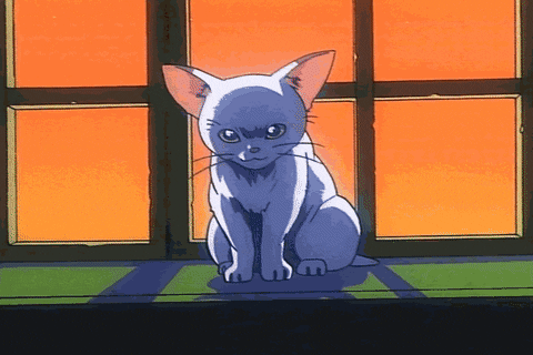 LowPursuit giphyupload lowpursuit ninja gaiden GIF