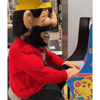 Big Sky Mascot GIF by University of Idaho