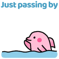 Bird Hello Sticker by CGTN V-Studio