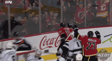 Celebrate Ice Hockey GIF by NHL
