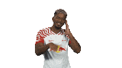Rb Leipzig Dj Sticker by Bundesliga