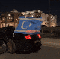 Turkmen Kirkuk GIF