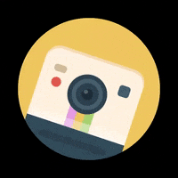 NedArt retro vintage polaroid nedart GIF