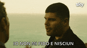 Sky Atlantic Amici GIF by Sky Italia
