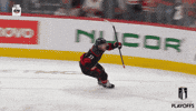 Happy Stanley Cup GIF by NHL