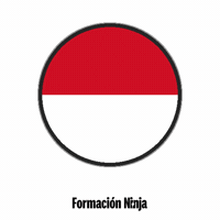 Monaco Flag GIF by Formación Ninja
