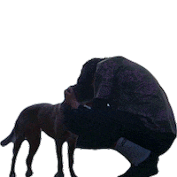 All Dogs Go To Heaven Outro Sticker by glaive