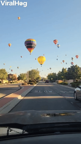 Albuquerque International Balloon Fiesta 2021