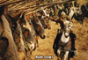 Movie gif. Eomer from The Lord of the Rings is dressed in heavy battle armor and rides a white horse. He holds his sword out as he rides along a row of knights on horseback, hitting his sword with their javelins. He lets out a battle cry and says, “Ride now!”